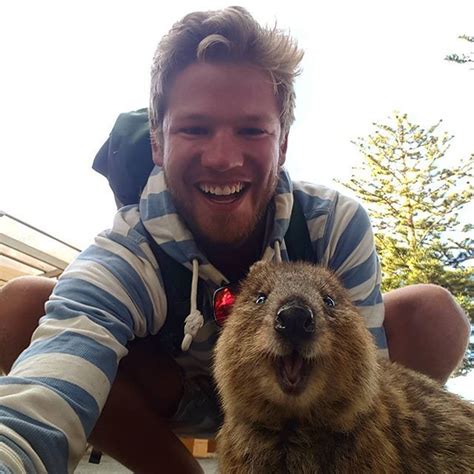 482 likes · 4 talking about this. #quokka - Share the love with this happy bloke. Super ...