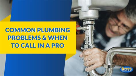 Common Plumbing Problems And When To Call A Pro In Los Angeles
