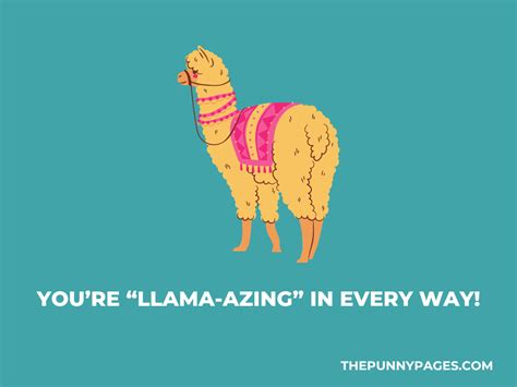100 Funny Llama Jokes And Puns