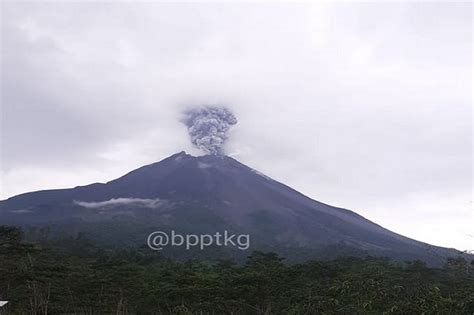 gunung merapi meletus lontarkan abu vulkanik setinggi 3 000 meter