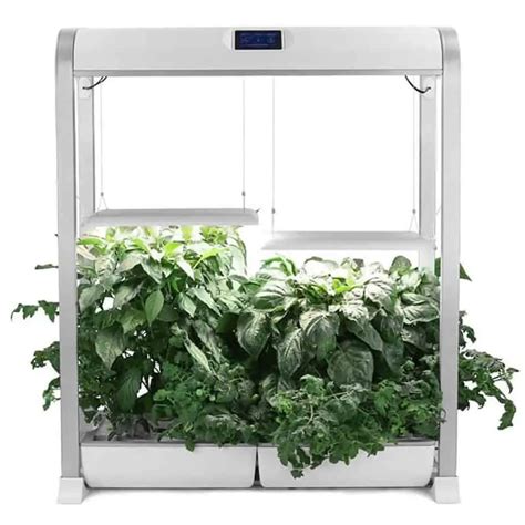 6 Best Hydroponic Systems For Growing Vegetables Indoors Indoor