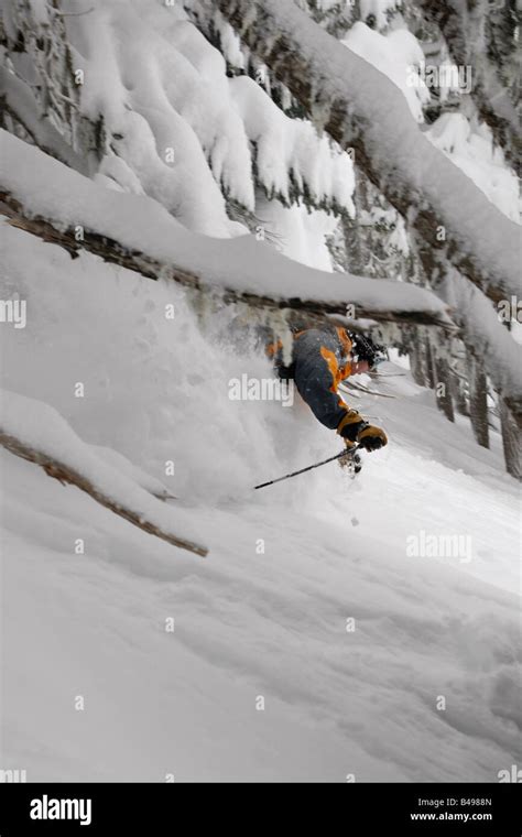 Skiing In Deep Powder Snow At Whistler Bc Stock Photo Alamy