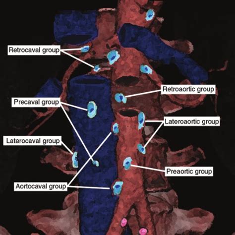 Aortic Lymph Nodes Location