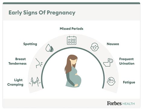 Early Pregnancy Symptoms Common Signs Forbes Health