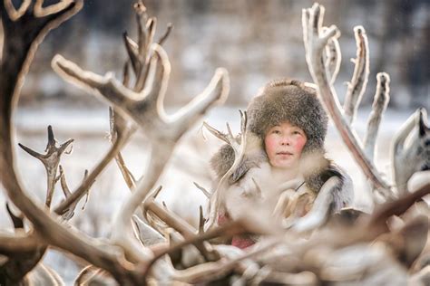 mongolia s forgotten reindeer herders photo tours wild images