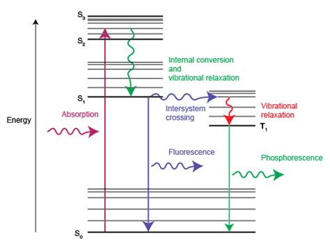 Photoluminescence Spectroscopy And Fluorescence Explained