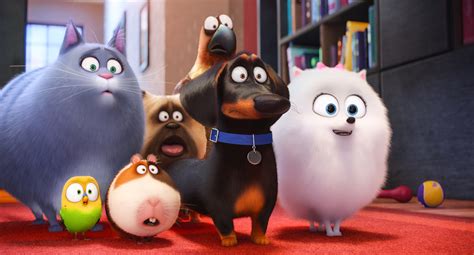 La Vida Secreta De Tus Mascotas 2 Se Estrena En 2018 Cinergetica