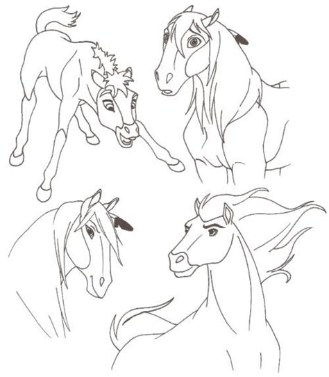Lucky is a born leader, always willing to go a notch higher the handsome buckskin stallion you see here is spirit, the noble, smart, and powerful horse responsible for keeping the wild mustangs safe in their landscape. spirit | Spirit drawing, Horse coloring pages, Animal ...