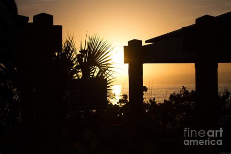 Sunset Silhouette Photograph By Darrell Hutto Fine Art America