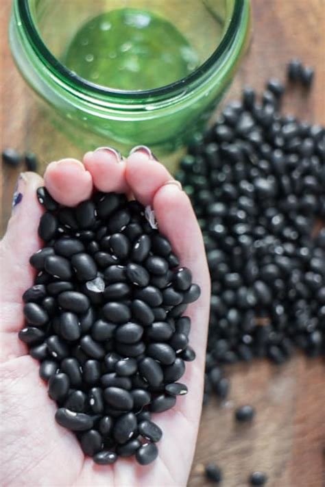 How To Grow Black Beans Brooklyn Farm Girl