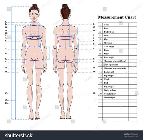 Female Under Body Chart