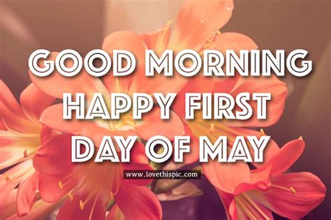 Good Morning Happy First Day Of May Pictures Photos And Images For