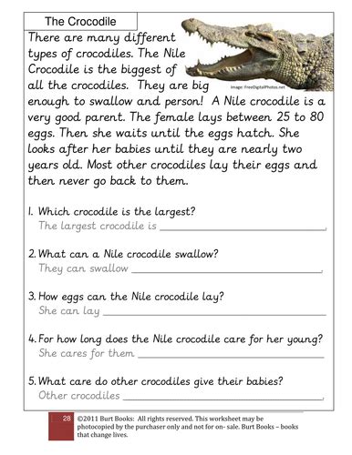 Crocodile Fact Sheet And Comprehension Teaching Resources