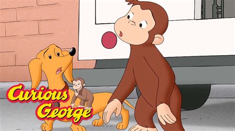 Curious George 🐵 George And Hundley Are Lost 🐵 Kids Cartoon 🐵 Kids