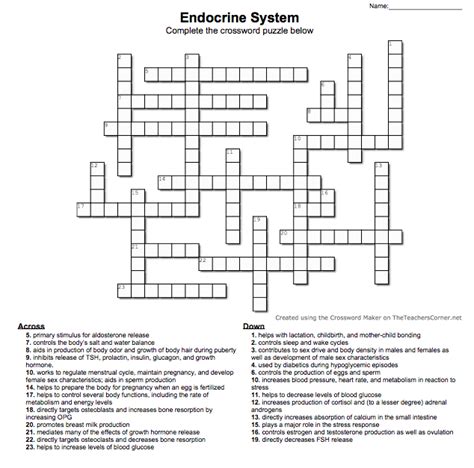 Solved Name Endocrine System Complete The Crossword Puzzle