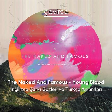 The Naked And Famous babe Blood İngilizce Sözleri Türkçe Anlamları çevirce