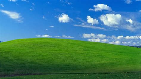Iconic Windows Xp Background Is Photo Of Sonoma County Hillside Abc7 San Francisco