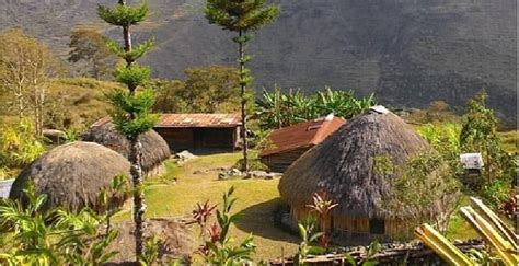 Mengenal Honai Rumah Adat Papua Yang Unik Dan Penuh Filosofi