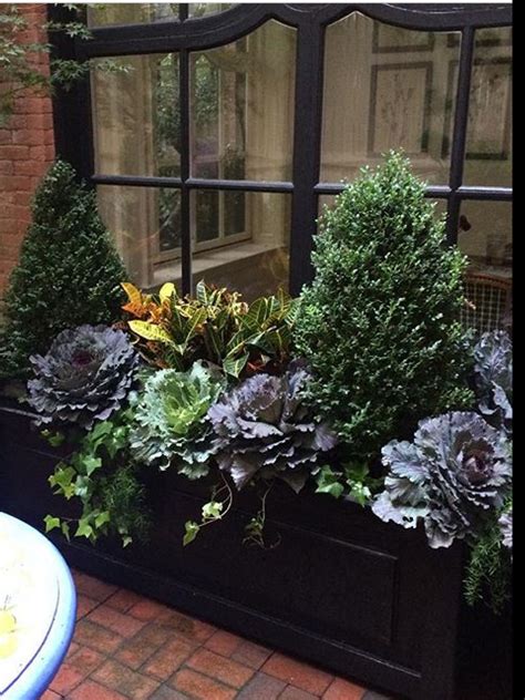Great Fall Winter Window Box Winter Container Gardening Fall