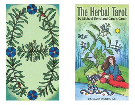 Deck Review The Herbal Tarot — Asali Earthwork