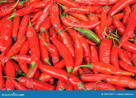 Red Hot Chili Peppers Stock Image Image Of Chile Tasty 20573397