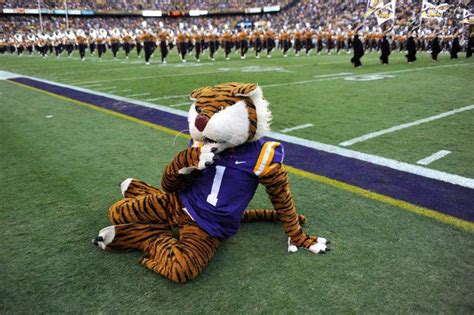 Mike The Tiger Joins Dozens Of Other College Mascots In Brad Paisleys