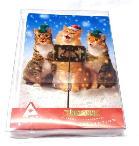 Avanti Singing Cats Christmas Cards Boxed Card Set Of 10 Snowflake