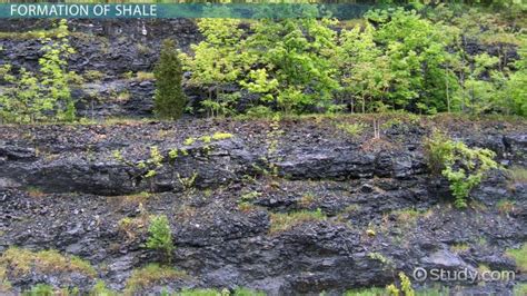 Shale Rock Properties Formation And Uses Video And Lesson Transcript