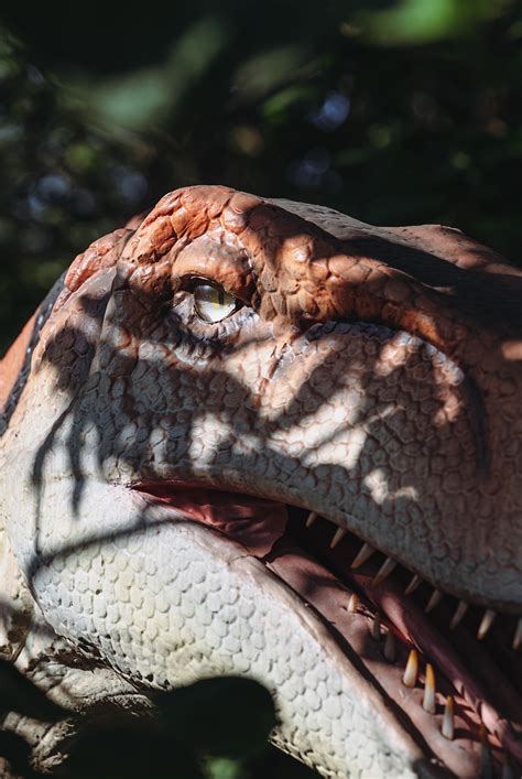 20 Creepiest Dinosaurs Cathrineasta