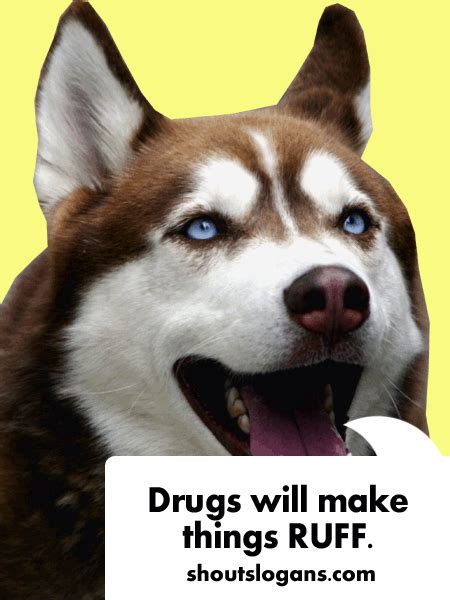 Since then, the main task of don't do drugs slogans and campaigns has been to convey the idea that, using drugs, a person inflicts irreparable harm to his health, which leads. 100 Best Anti Drug Slogans, Posters and Quotes