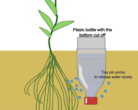 Make Your Own Pop Bottle Drip Irrigation System Drip Watering System
