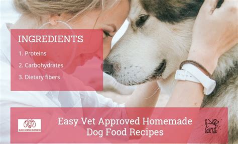 Those physical symptoms may also be accompanied by chronic diarrhea. Homemade Dog Food Recipes for Skin Allergies - The black ...