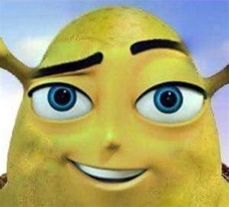 Cursed Images That Are Just Plain Wrong Bee Movie Memes Shrek The The