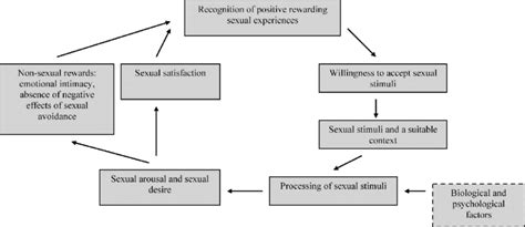 Model Of The Sexual Response In Women Based On Basson [13] Download Scientific Diagram