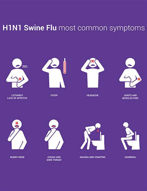 Swine Flu H1n1 Flu Symptoms Causes And Treatments