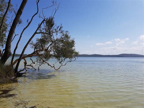 Shelly Beach Campground Shelly Beach Trail Yagon Nsw 2423 Australia