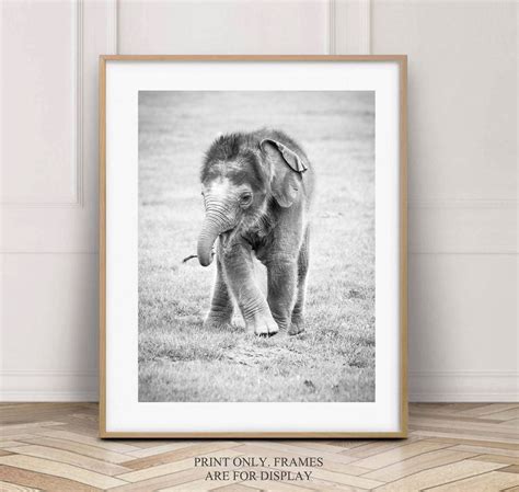 S Er Baby Elefant A Druck Elefant Fotografie Wandkunst X Etsy De