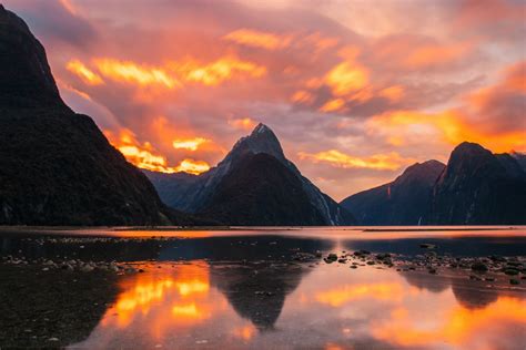 Cruise The Milford Sound With Jucy Cruise Jucy Rentals