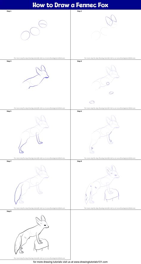 How To Draw A Fennec Fox Printable Step By Step Drawing Sheet