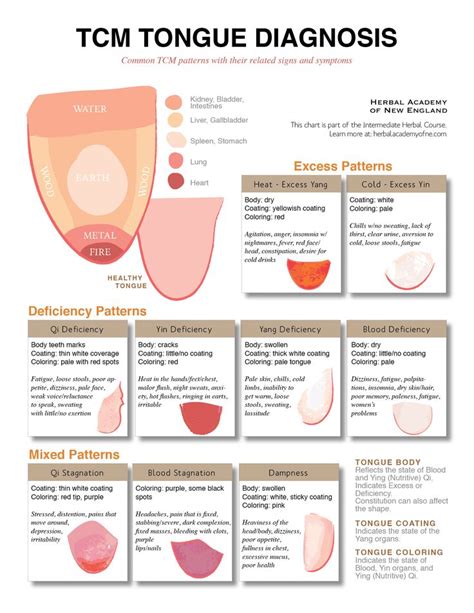 Tongue Diagnosis Chart Clinical Charts And Supplies
