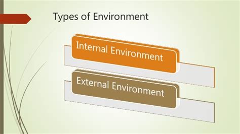 External environment or far environment includes a combination of all factors coming from the outside of the organization that affect its performance. External Environment | Business Environment