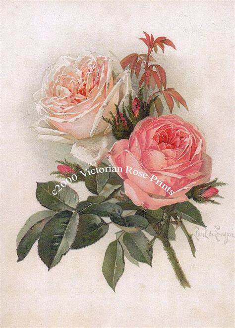 Paul De Longpre Art Print Bride And Pink Cabbage Roses Shabby Chic
