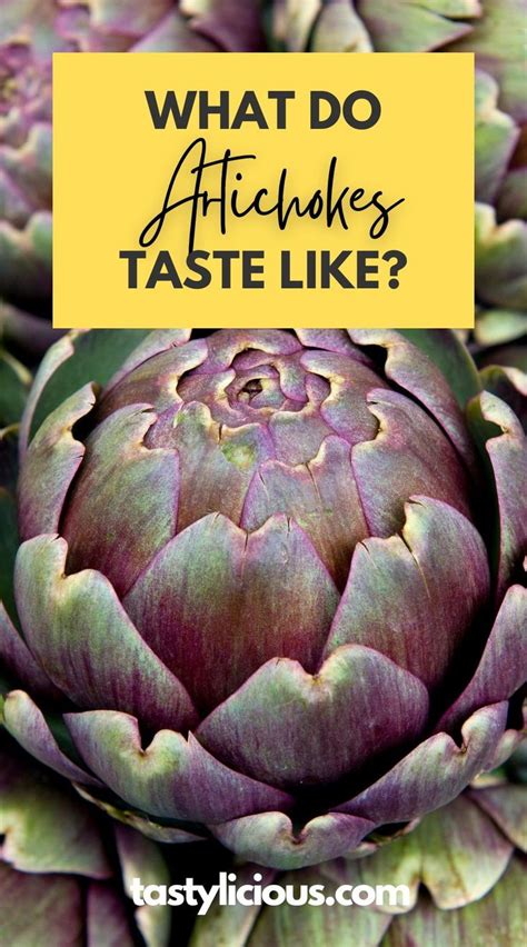 What Do Artichokes Taste Like Tastylicious Artichoke Vegetable Benefits Fruits And