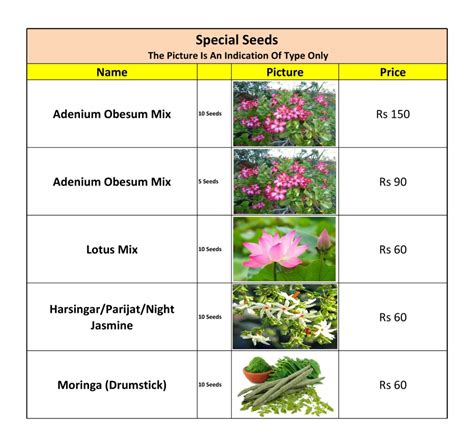 Winter Flower Seeds Bulbs List — Kitchen Home Gardener