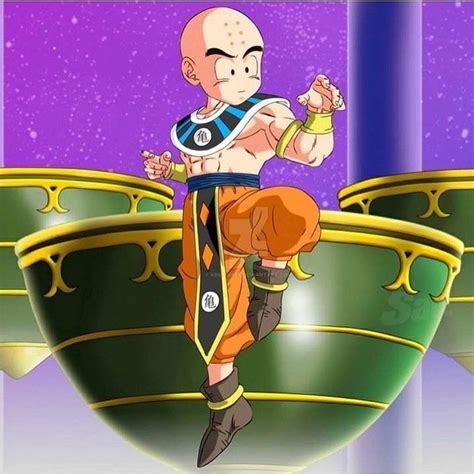 Krillin Dressed As A God Of Destruction Dragones Dragon Ball Dragon