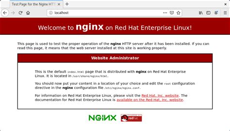 Installing Nginx PowerServer R Help