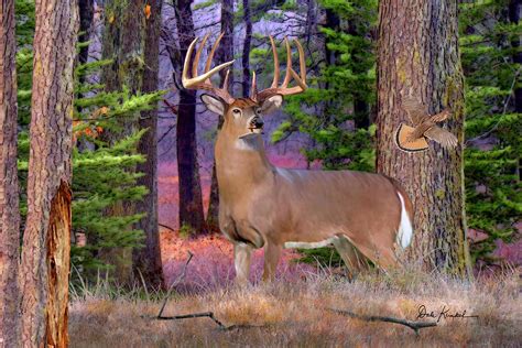 Whitetail Deer Art Print North Woods Whitetails Painting By Dale