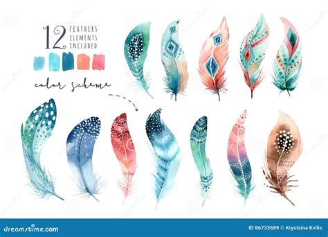 Hand Drawn Watercolor Paintings Vibrant Feather Set Boho Style Stock
