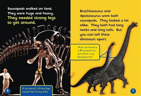 Can You Tell A Brachiosaurus From An Lerner Publishing Group