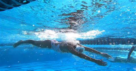Underwater Footage Of Athletes Swimming In A Pool Free Stock Video